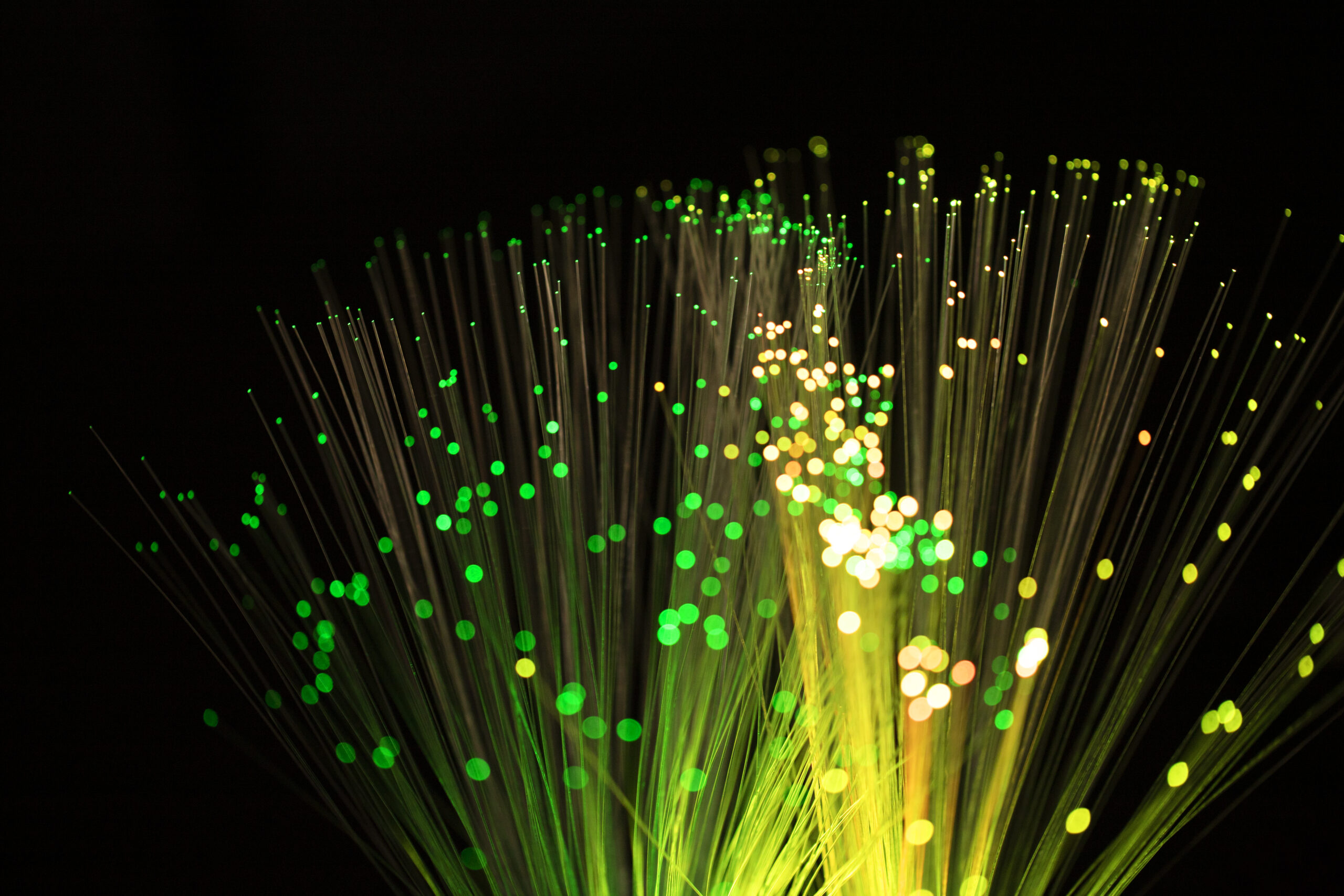 FastBridge Fiber